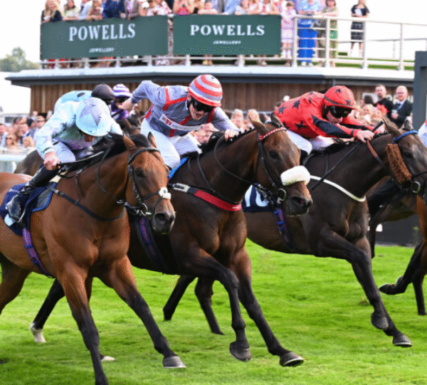 The Role of Stewards in Horse Racing