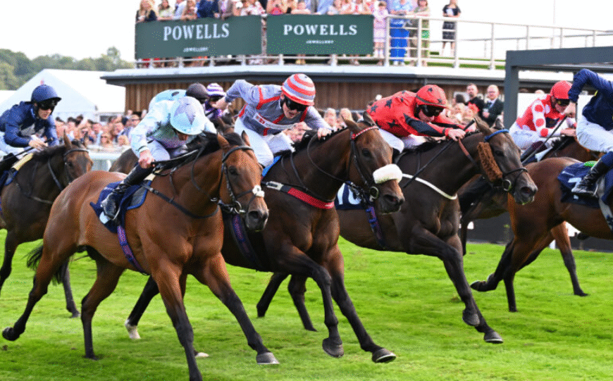 The Role of Stewards in Horse Racing