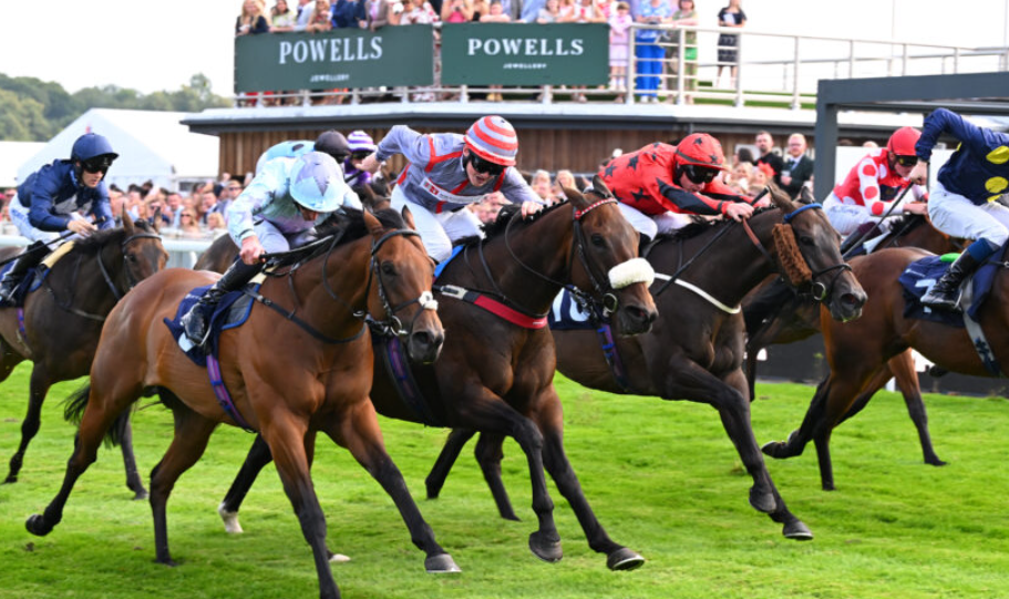 The Role of Stewards in Horse Racing