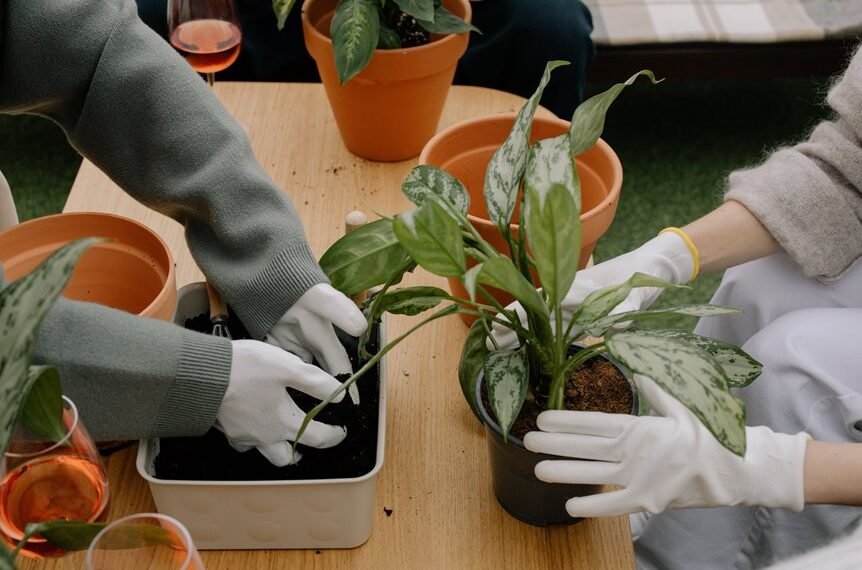 new gardening product x benefits explained